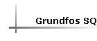 Grundfos SQ